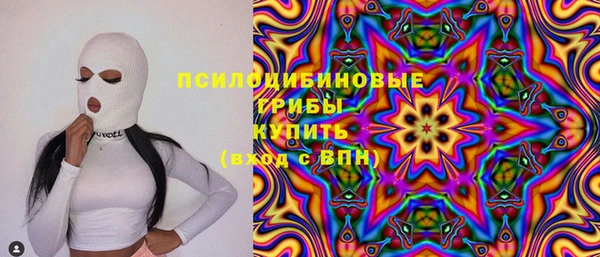 соль ск Осташков