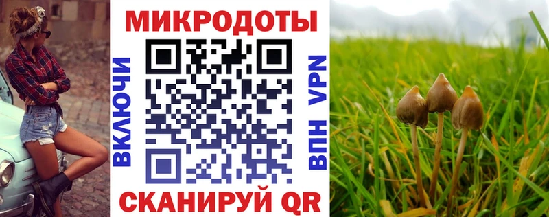 Псилоцибиновые грибы GOLDEN TEACHER где найти Судак